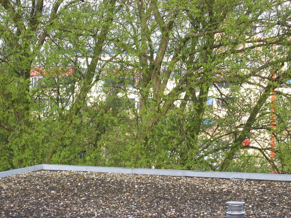 houtmarkt0011