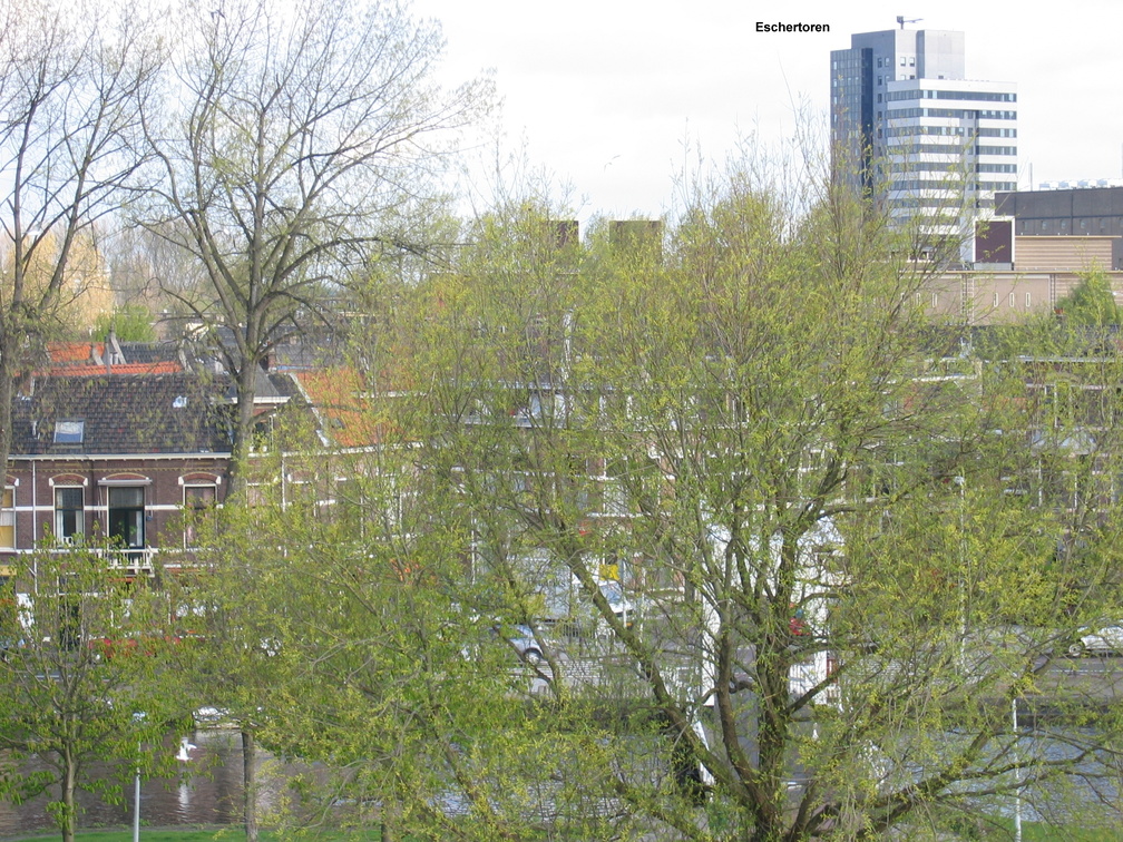 houtmarkt0015