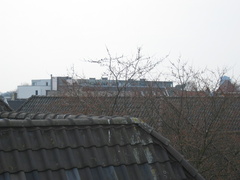 img 3812
