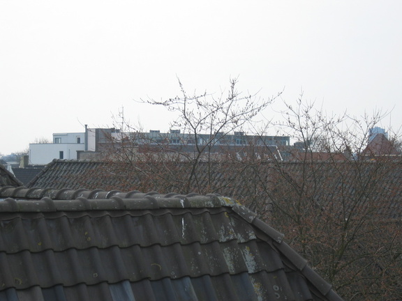 img 3812