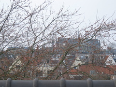 img 3815