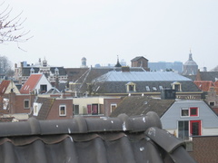 img 3816
