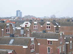 img 3818