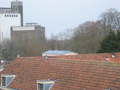 img 3821