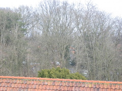 img 3823