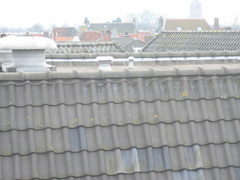 img 3827