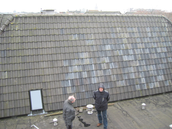 img 3829