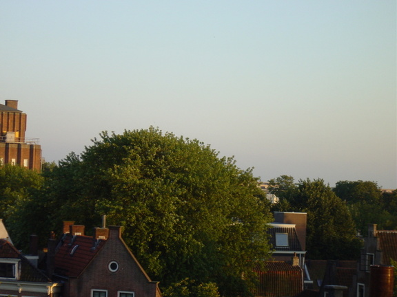 dsc00719