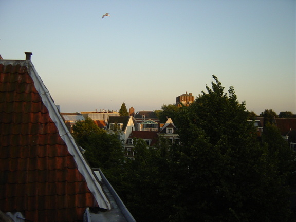 dsc00729