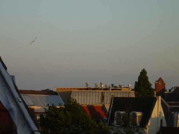 dsc00731