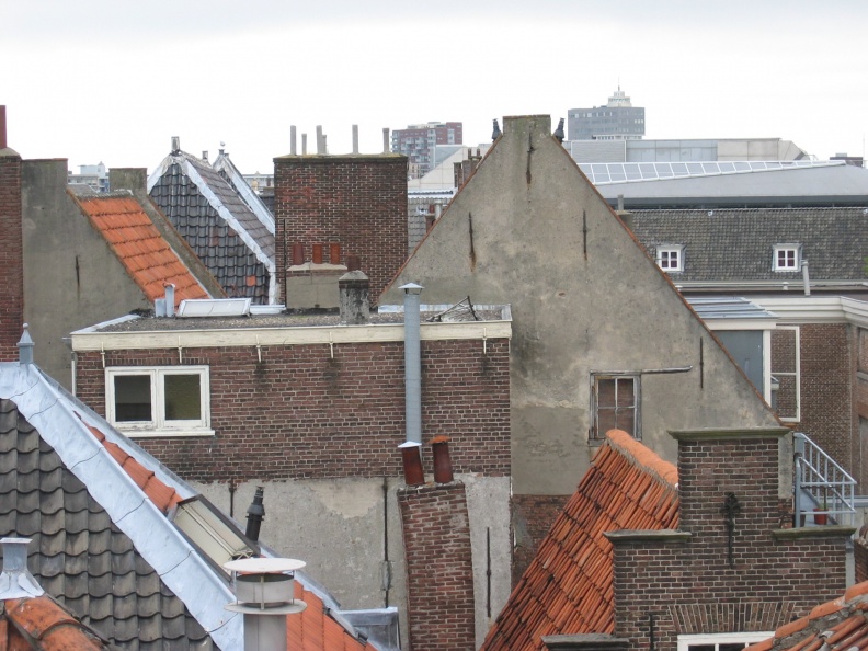 panorama_huub0004.jpeg