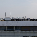 MG 7515