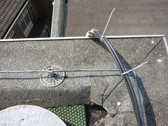 img 0718