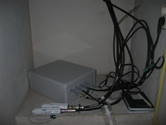 IMG 1125