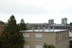 DSCF0950