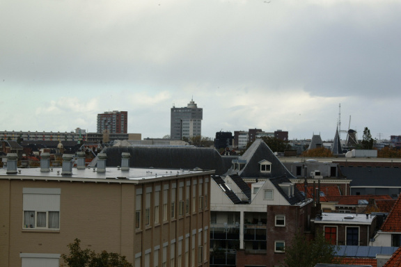 DSCF0951