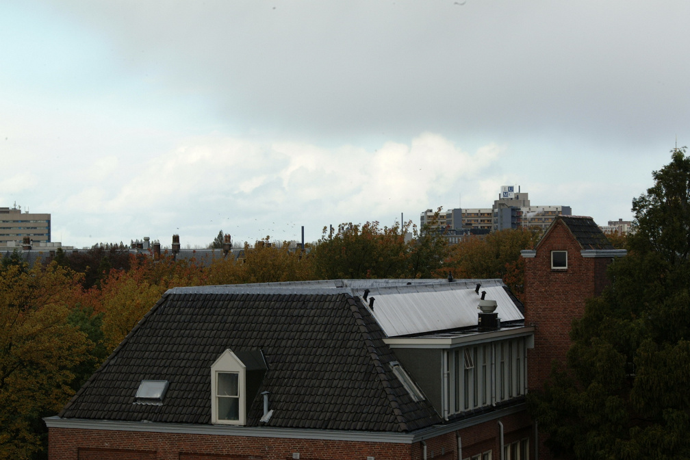 DSCF0953
