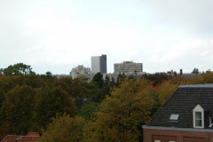 DSCF0954