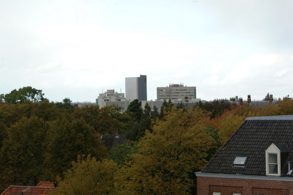 DSCF0954
