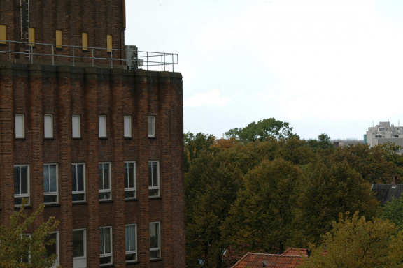 DSCF0955