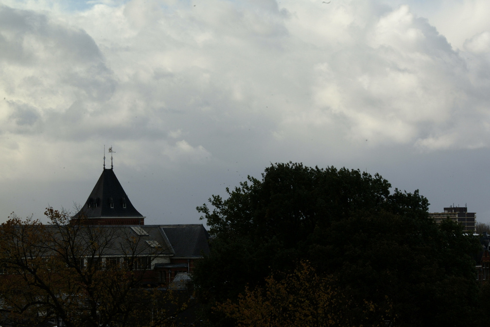 DSCF0961