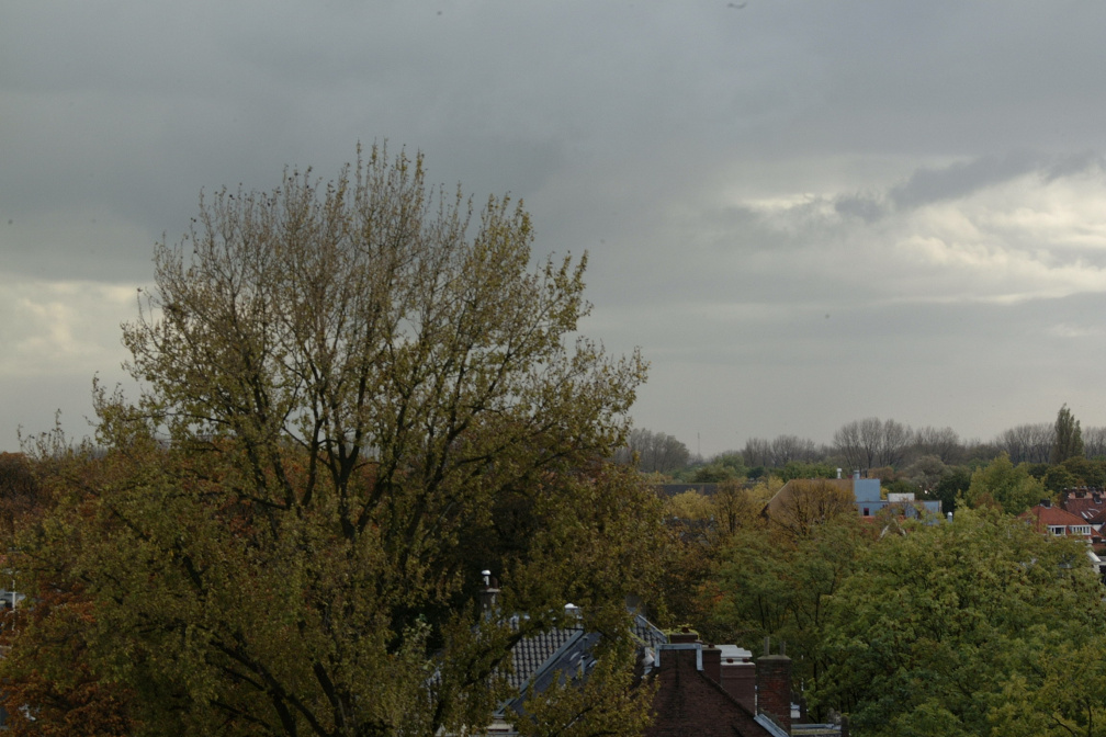 DSCF0968
