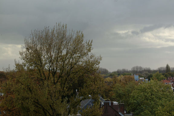 DSCF0968
