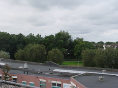 DSC07108