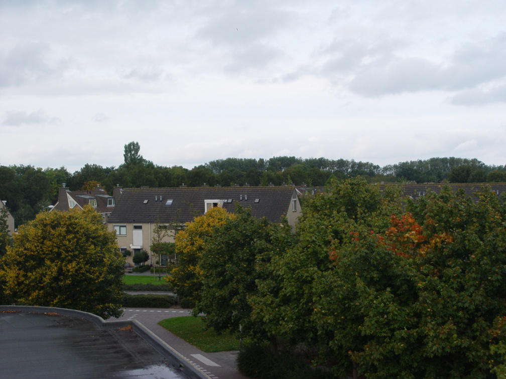 DSC07110
