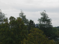 DSC07112