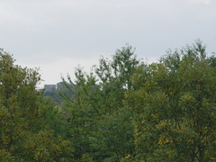 DSC07115