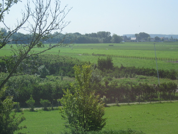 KWVdeKaag 84