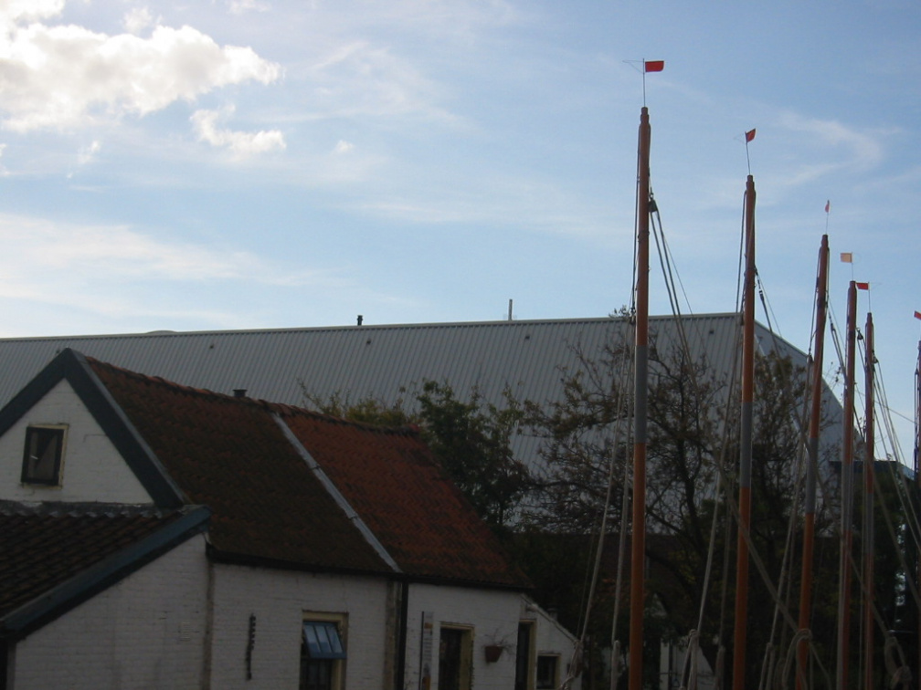img 0987