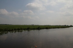 RES-IMG 2765