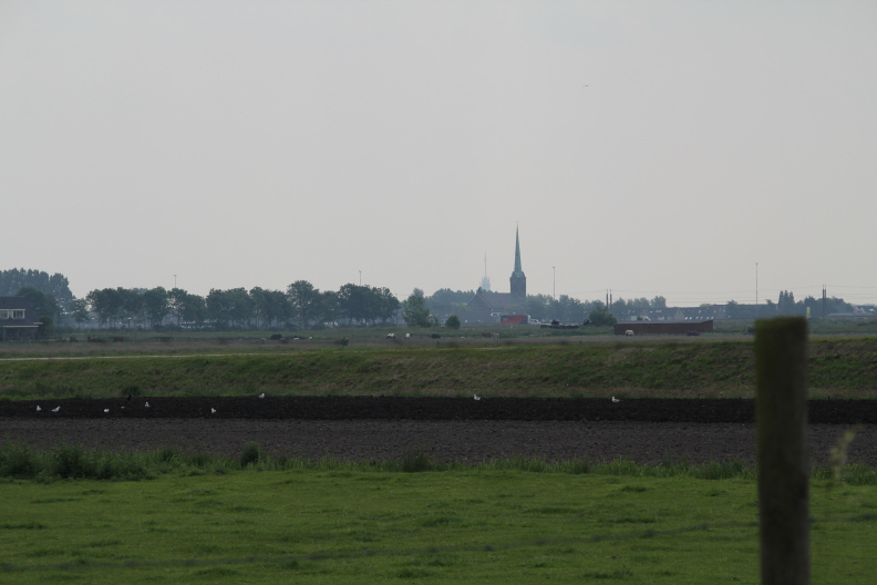 RES-IMG_2767.jpg