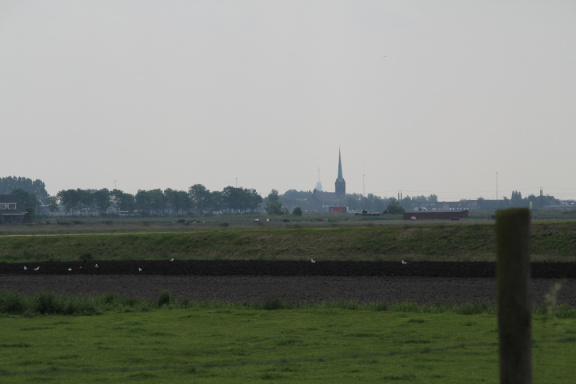 RES-IMG 2767