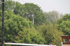 RES-IMG 2778