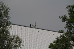 RES-IMG 2809