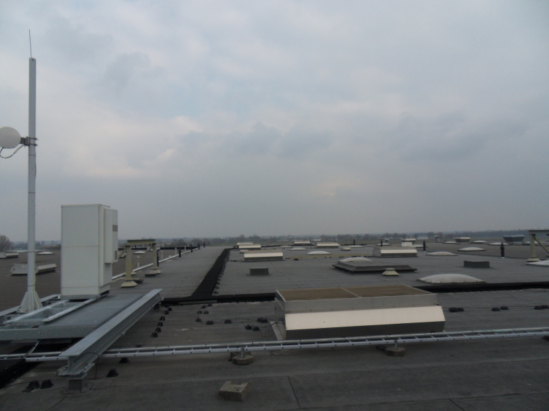 SDC11835.JPG