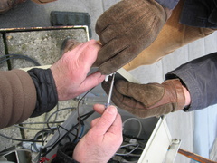 IMG 4657