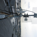 IMG 4661