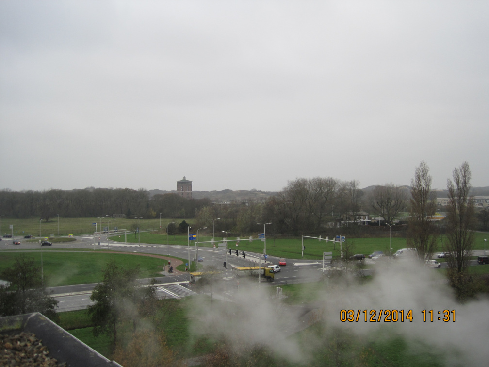 IMG 4450