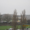 IMG 4453