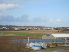 Homewizard 37