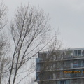 Jachthaven 021