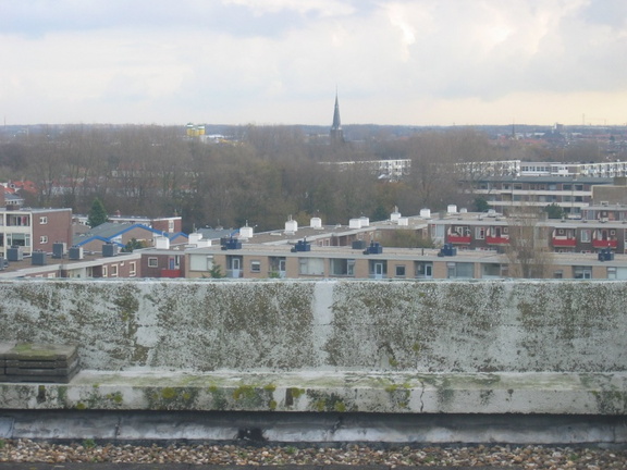 nachtegaallaan0002