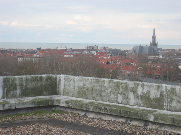 nachtegaallaan0005