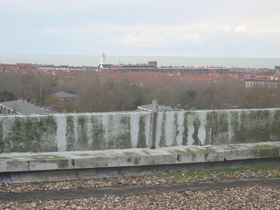 nachtegaallaan0006