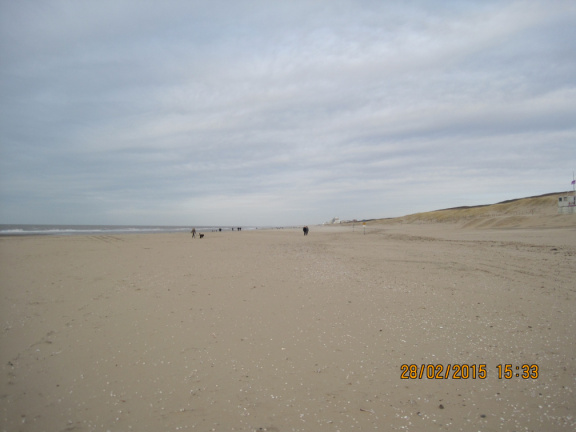 Het Wantveld Noord 009