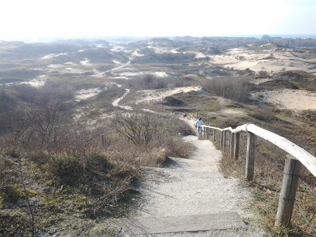 Uitzichtpunt VlaggeDuin 64
